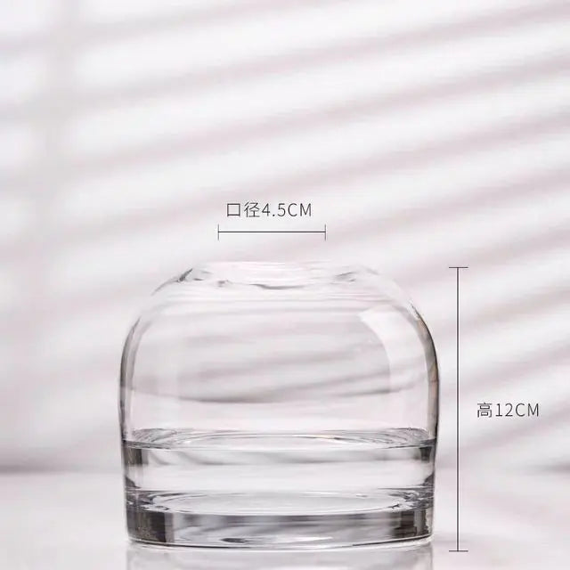 European Style Simple Vase Creative INS Glass Flower Ware