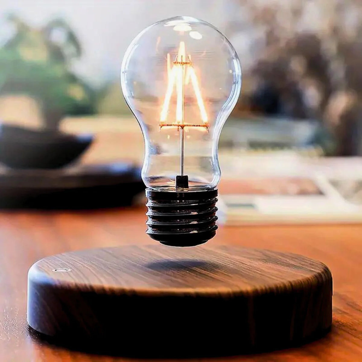 Vintage Levitating Bulb