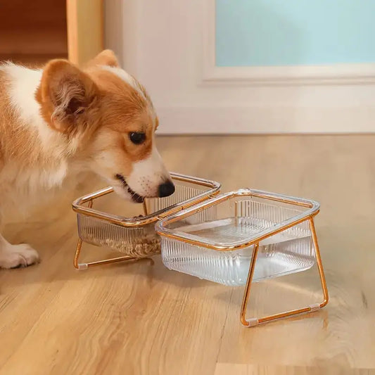 Pampered Paws Elevated Bowl