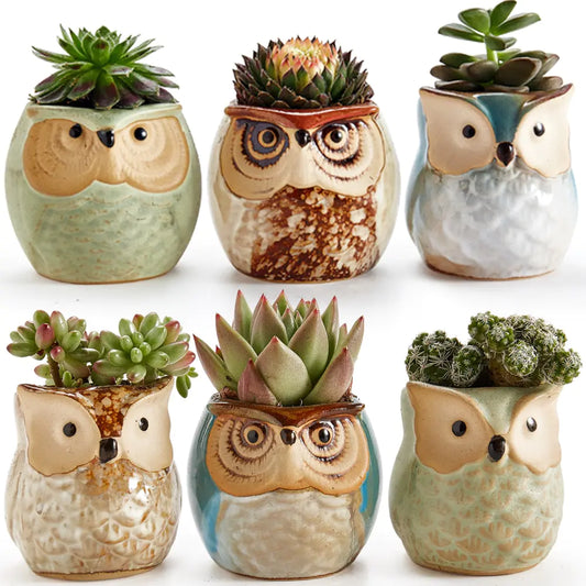 6-Piece Owl Pot Ceramic